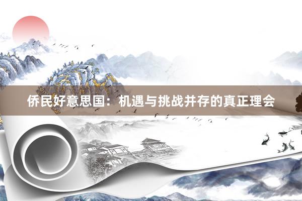 侨民好意思国：机遇与挑战并存的真正理会